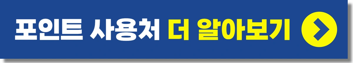 경기도 청년복지포인트