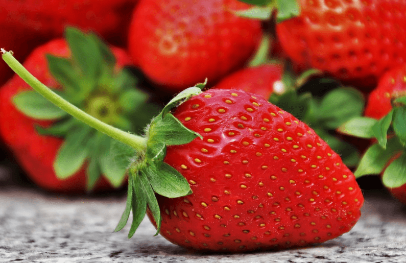 우유에-빠진-딸기-사진