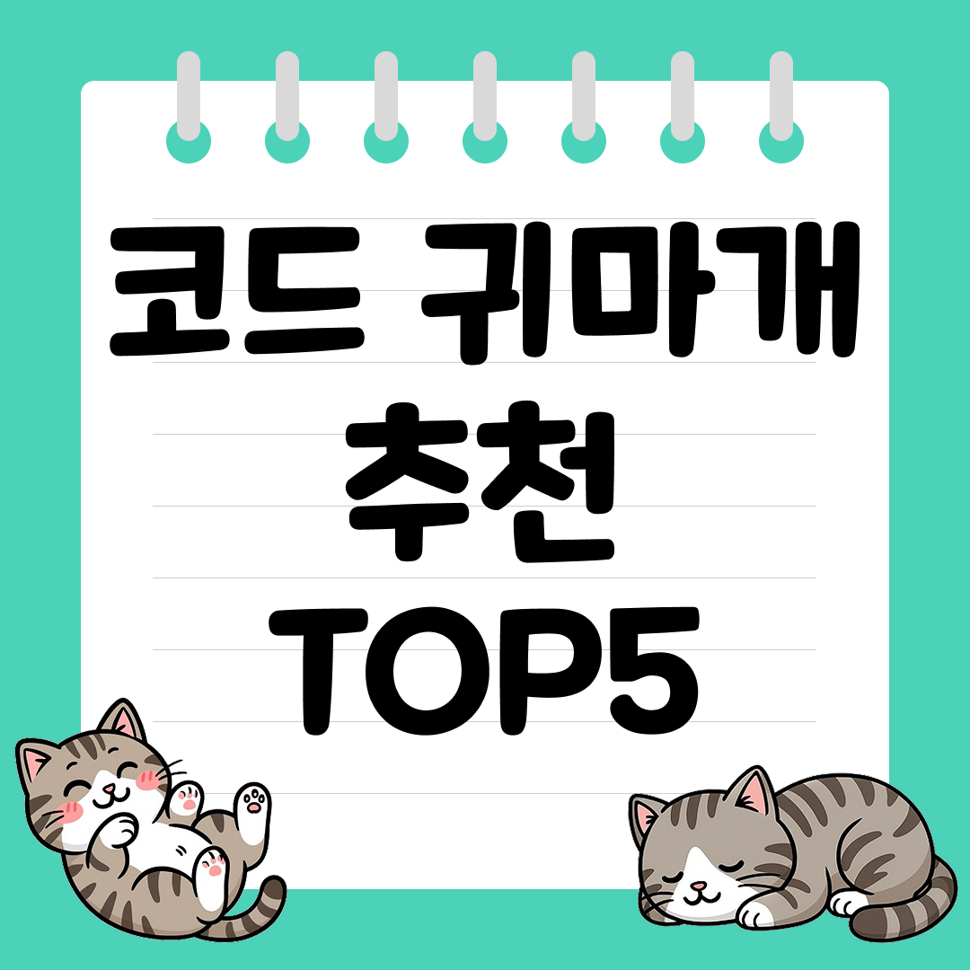 분실 걱정 줄여주는 수영용 코드 귀마개 추천 순위 TOP5
