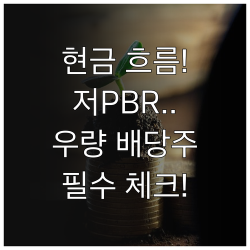 안정적인 현금 흐름을 위한 저PBR ..