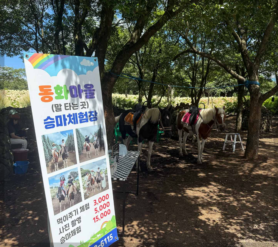 제주-동화마을-10