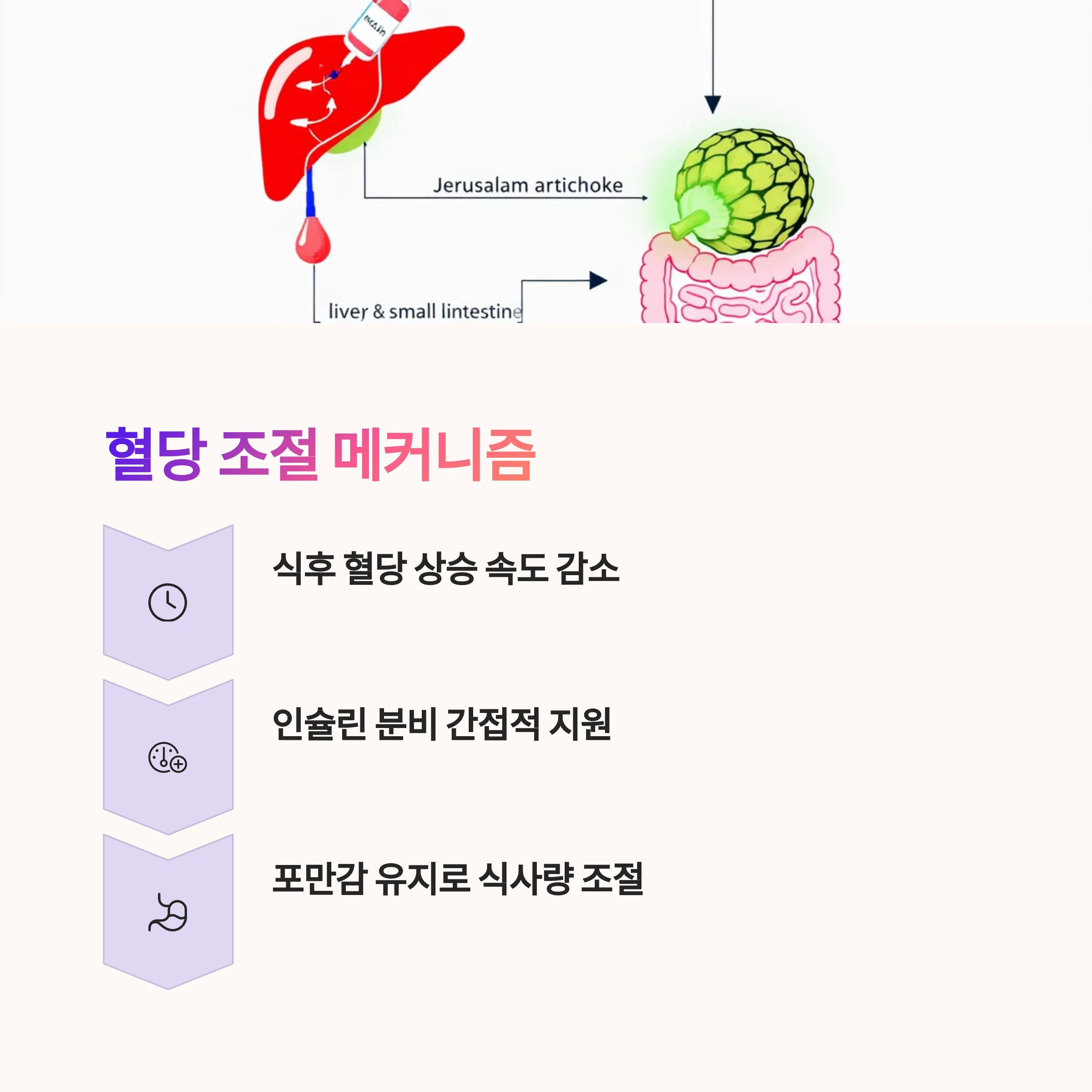 실험으로-입증된-혈당조절