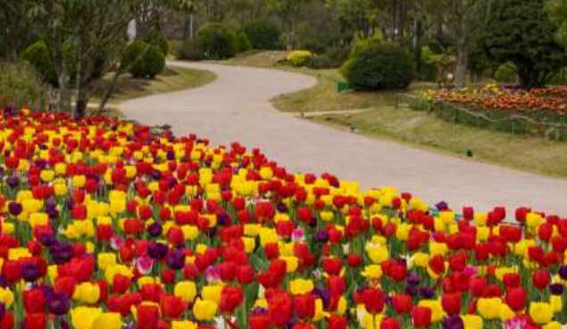 2025 괴산 빨간맛 페스티벌