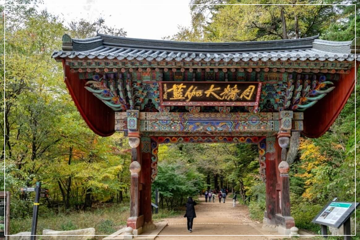 평창 가볼만한곳 베스트10 오대산 선재길