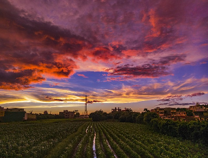 1호 태풍 우딥 이동경로 국내영향