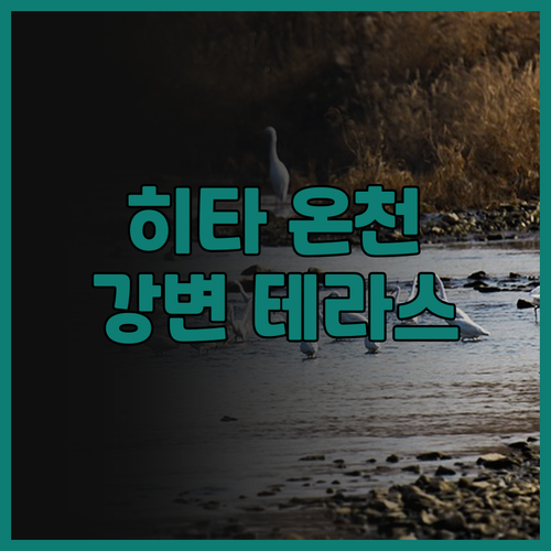 히타 온천 추천 후기! 하나노키 리버..