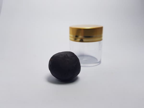 공진단 내용물 사진