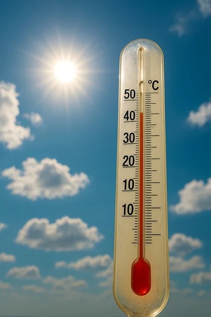 알부민 효능 및 섭취 방법 총정리