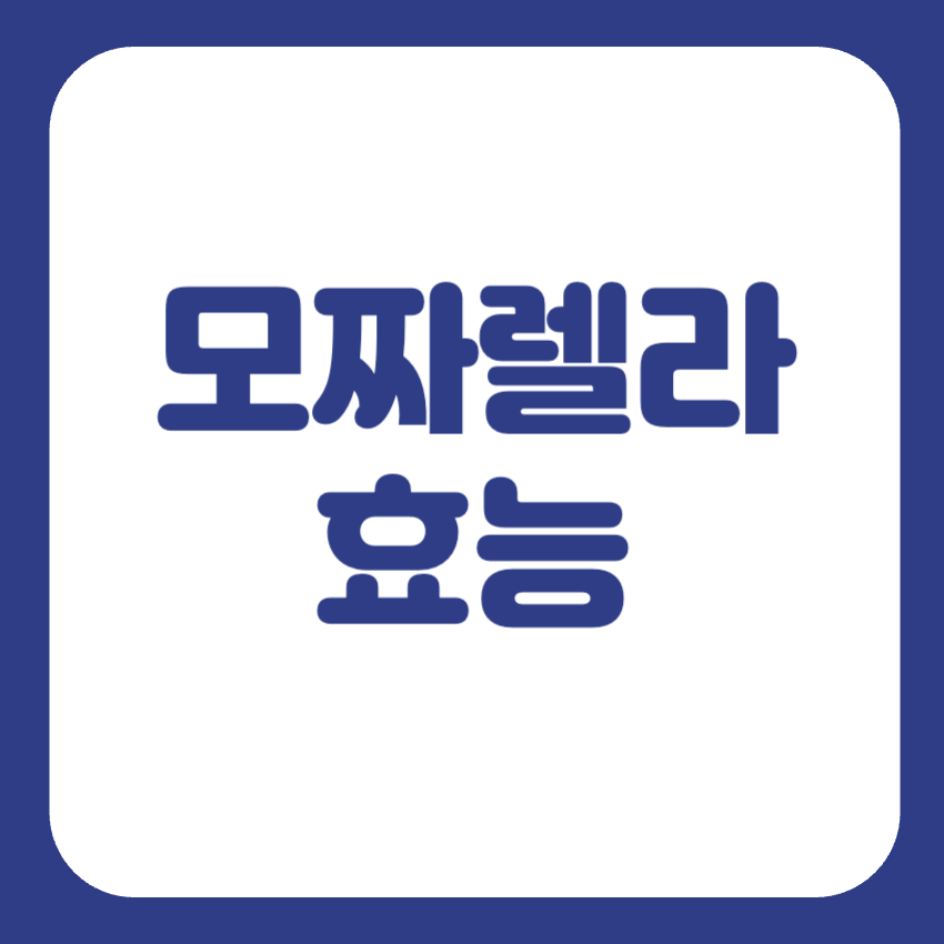 모짜렐라치즈 효능 칼로리
