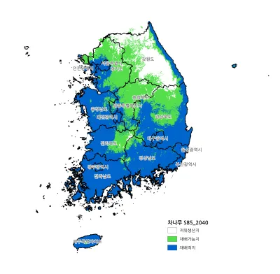 차나무 재배 잎 따기 시기 그늘 재배 향 유지_2