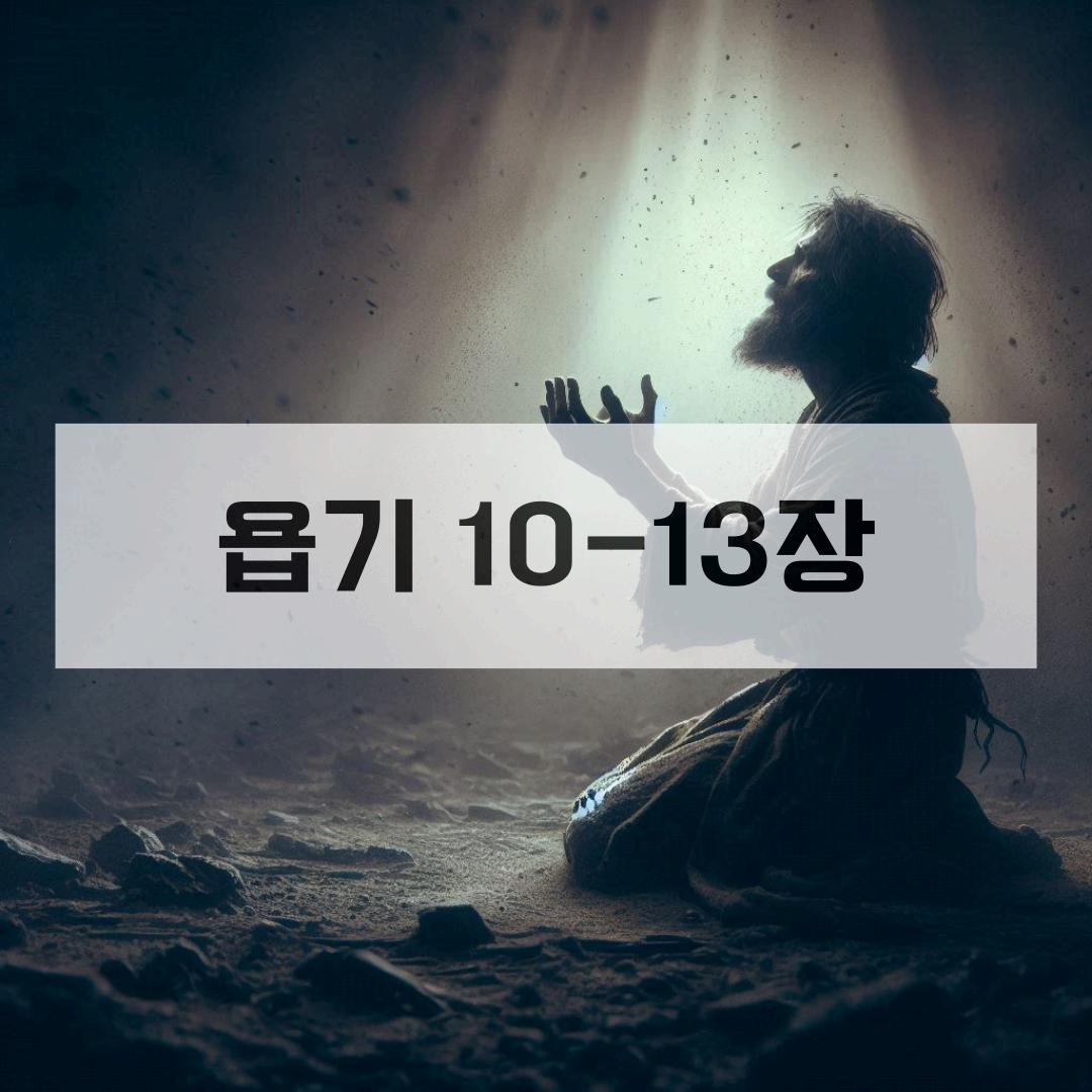 욥기10-13장