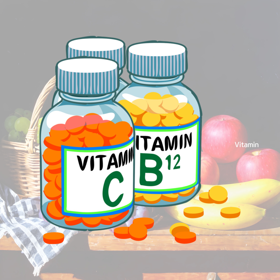 지용성비타민 수용성비타민