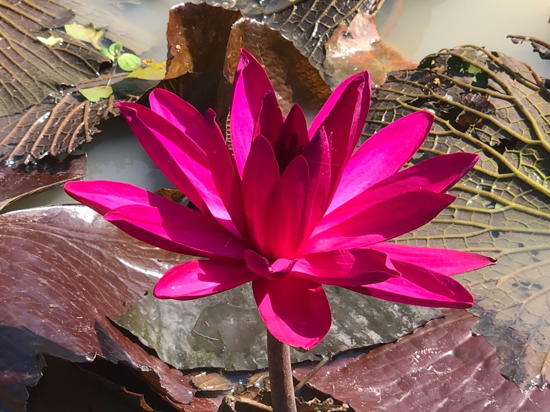 '이재성'