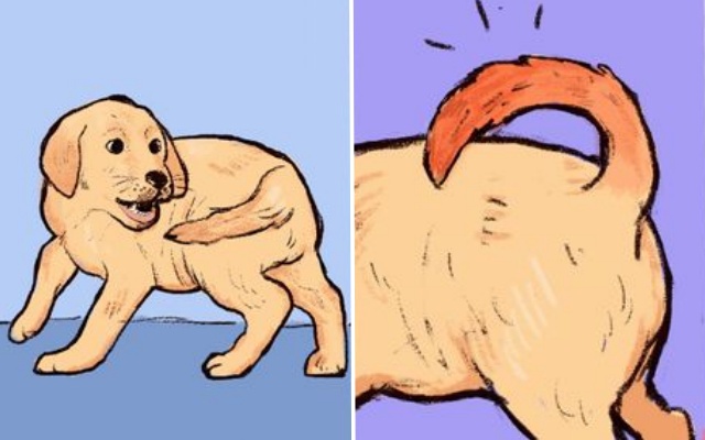 꼬리 물고 빙글빙글 돌기 이유, 반려견 행동의미,생활 팁줌 매일꿀정보