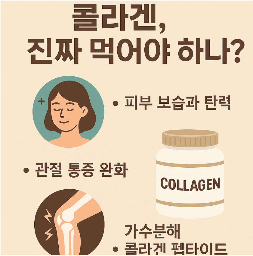 콜라겐의 효과