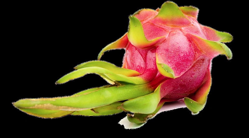 환기설비 시공비용과 유지관리법