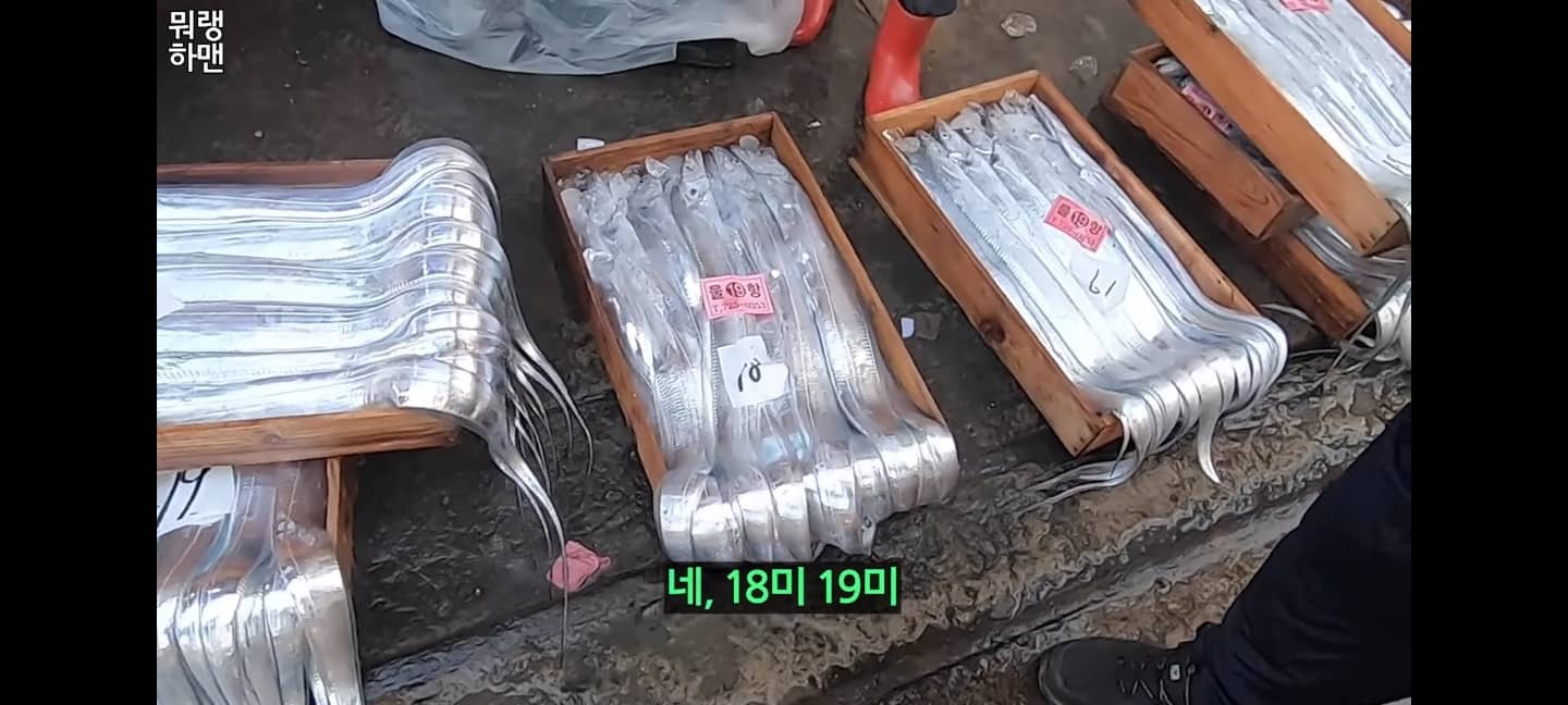 갈치 싸게 사는 방법