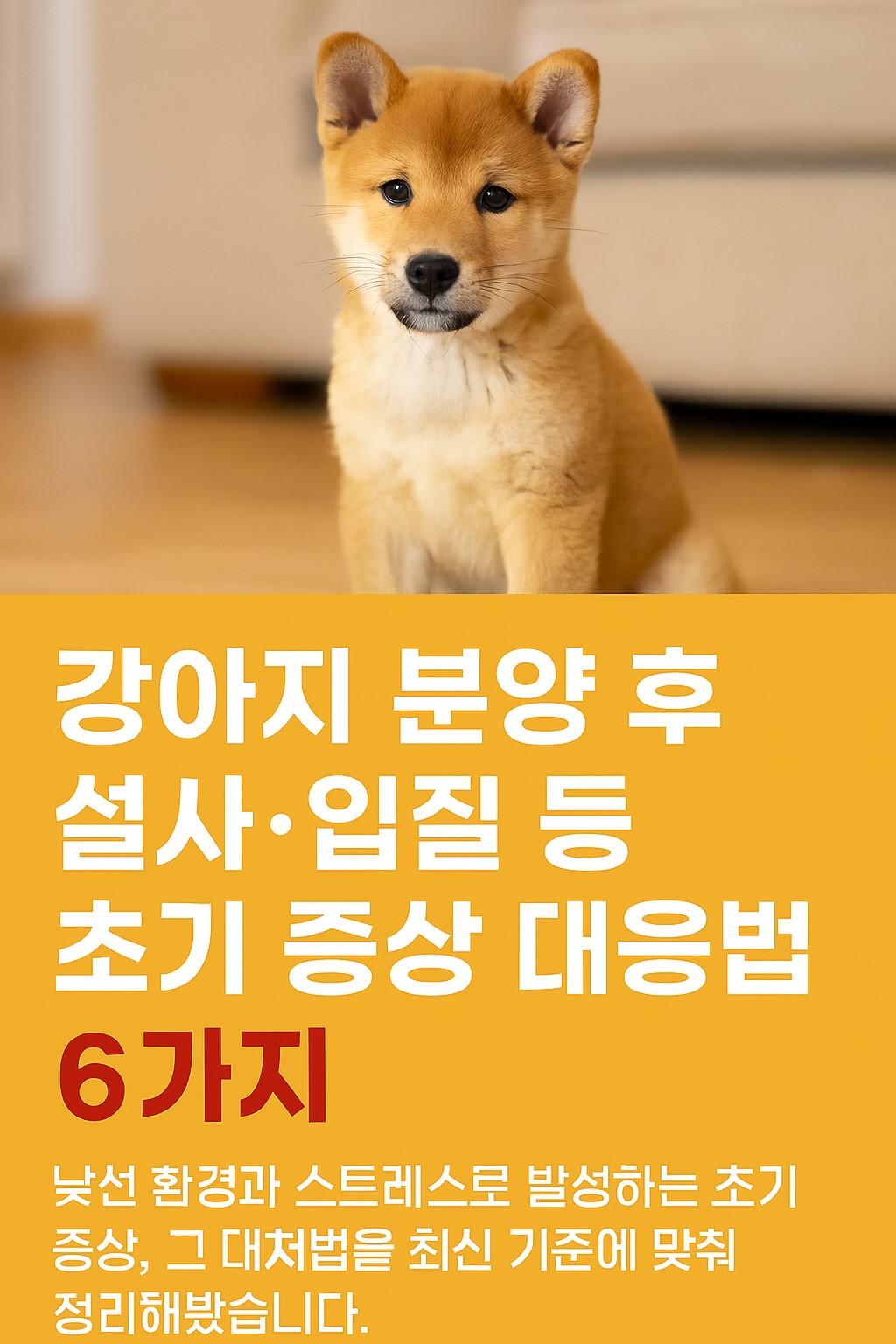 강아지 분양 후 초기 증상 대응