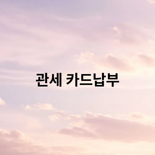 관세 카드납부