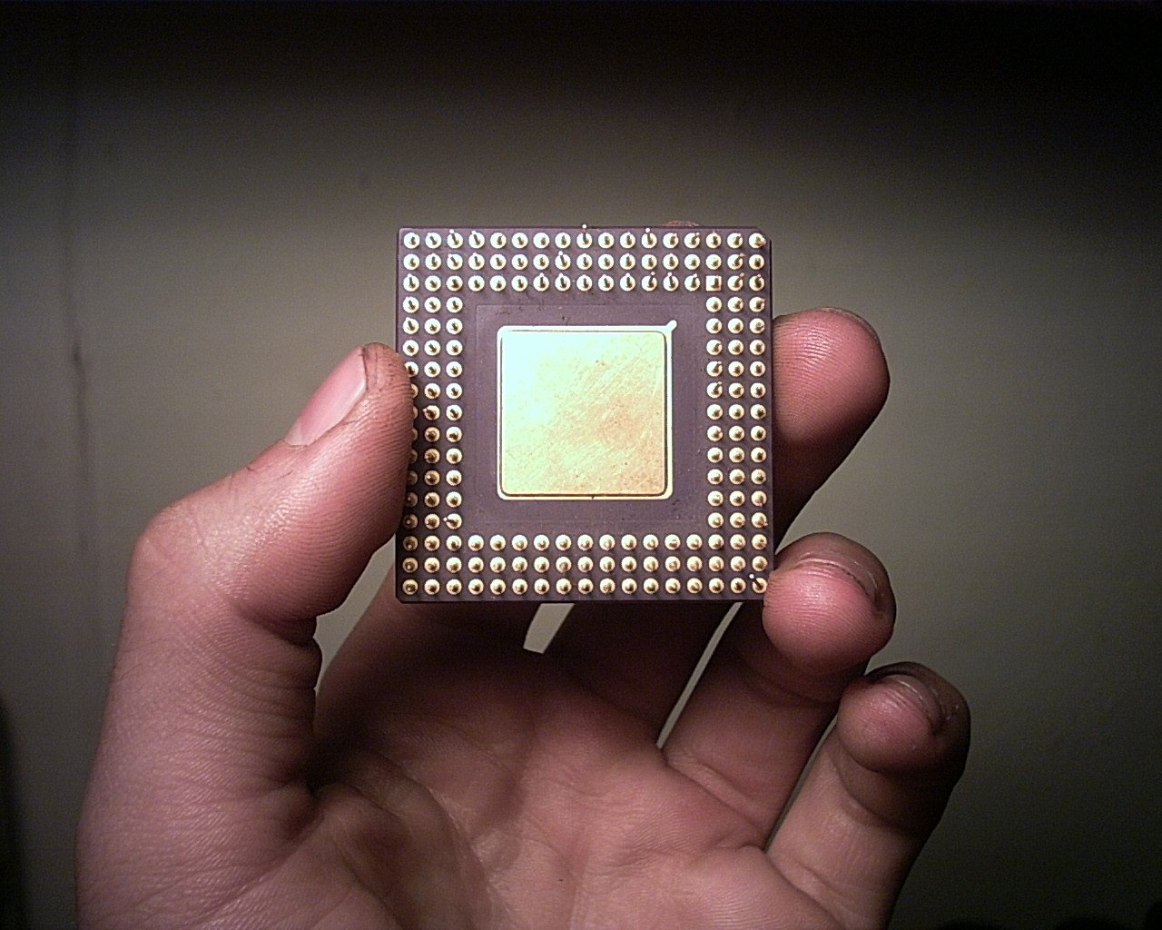 arm 기업