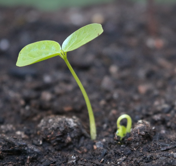 사회 초년생이 소액으로 키우는 기부 이미지