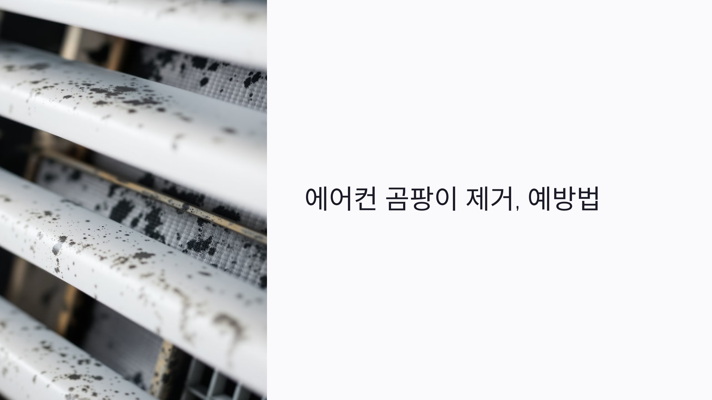 에어컨 곰팡이 제거와 예방법 총정리: 냄새, 건강, 청소까지