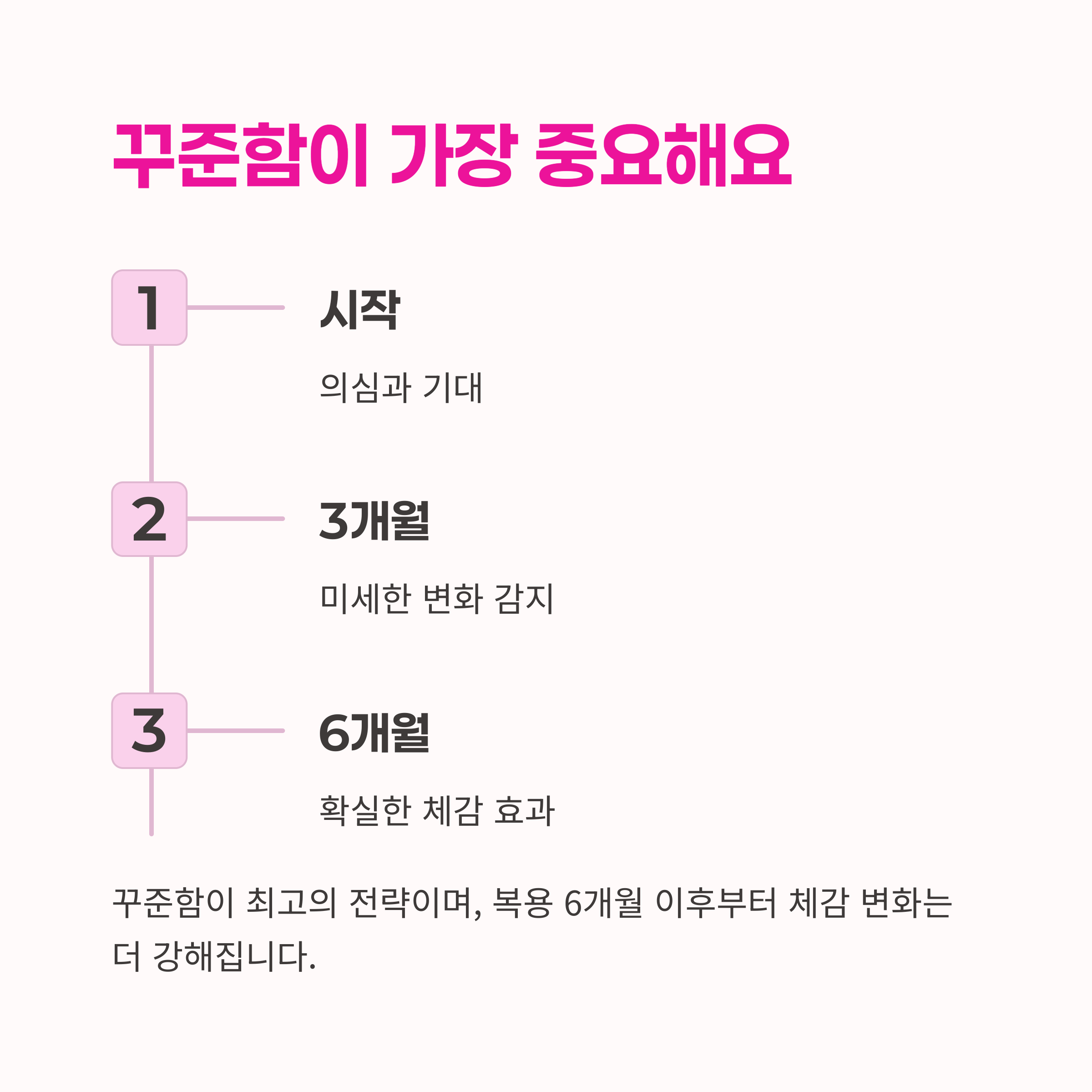 미토콘드리아,