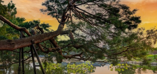 경복궁 야간개장 인터넷예매