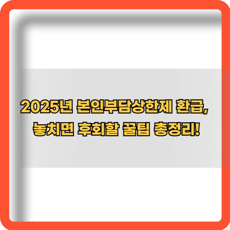 2025-본인부담상한제-환급꿀팁-총정리