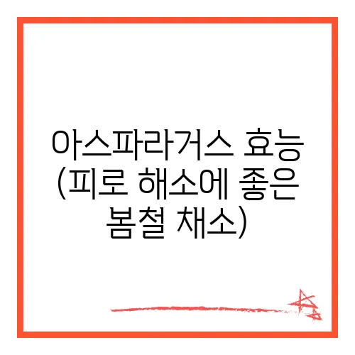 아스파라거스 효능 (피로 해소에 좋은 봄철 채소)