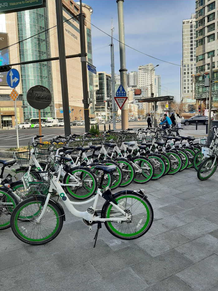 Seoul public bike rental station with rows of Dda-Reungi bicycles – 서울시 따릉이 자전거 대여소 전경