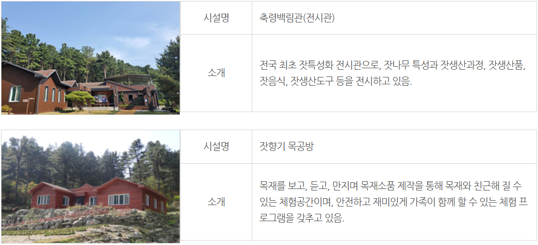 잣향기 푸른숲