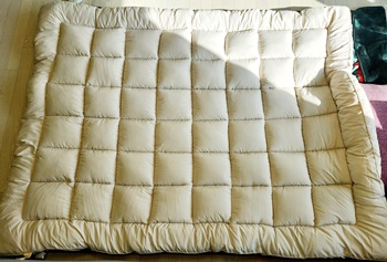 누잠깔아놓은모습