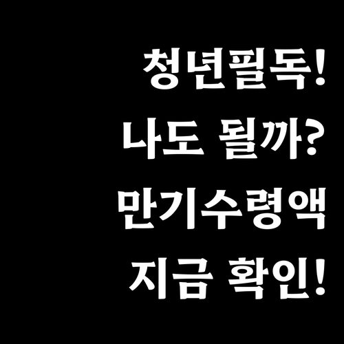 청년내일저축계좌 대상자 확인 및 만기..