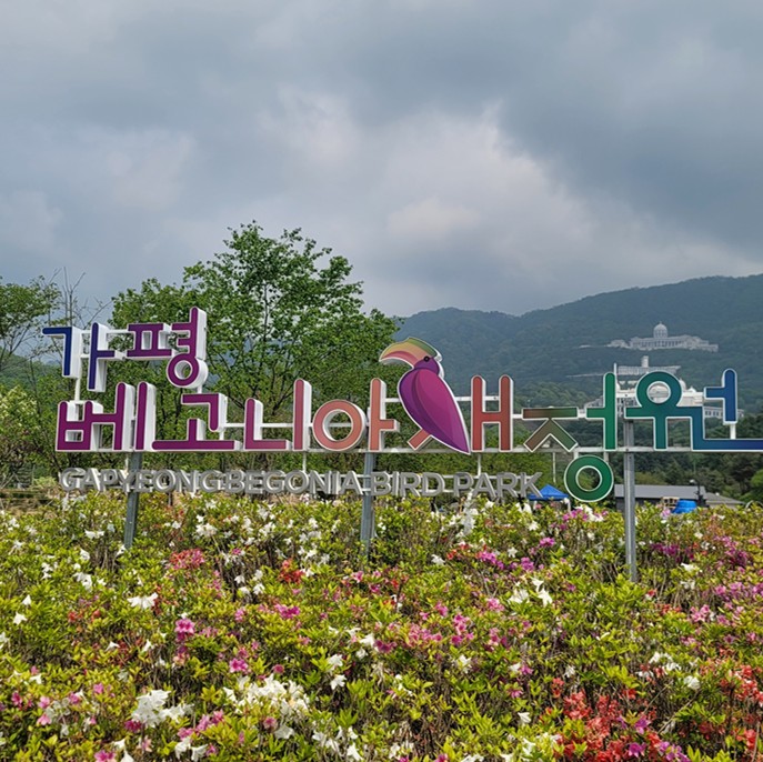 가평 베고니아 새정원 - 아이와 가볼만한 곳 추천, 후기