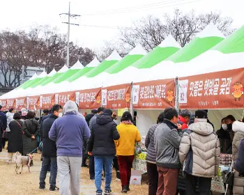 양촌 곶감축제_19