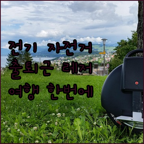 출퇴근 레저 여행 다 되는 전기 자전