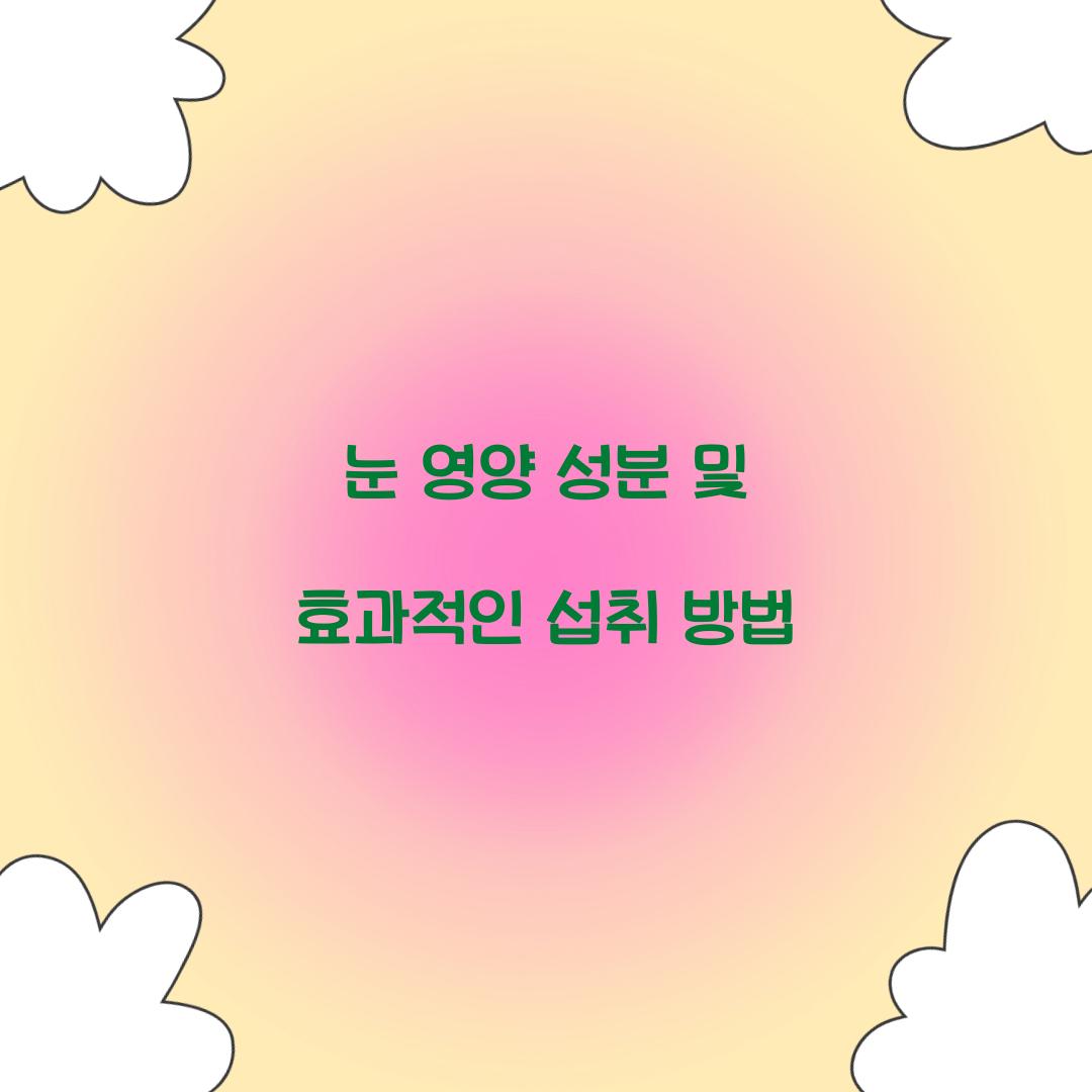 눈 영양 성분