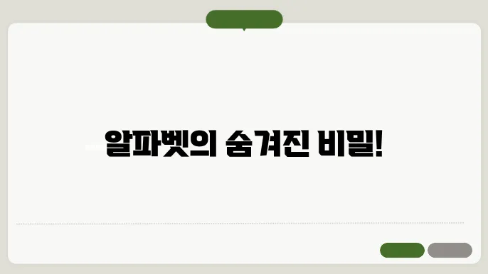 알파벳순서 정보 총정리