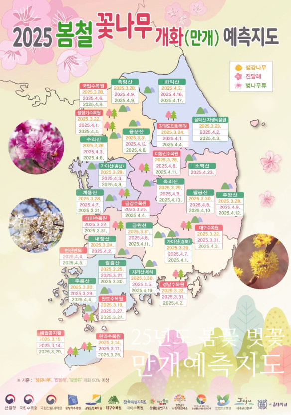 벚꽃지도