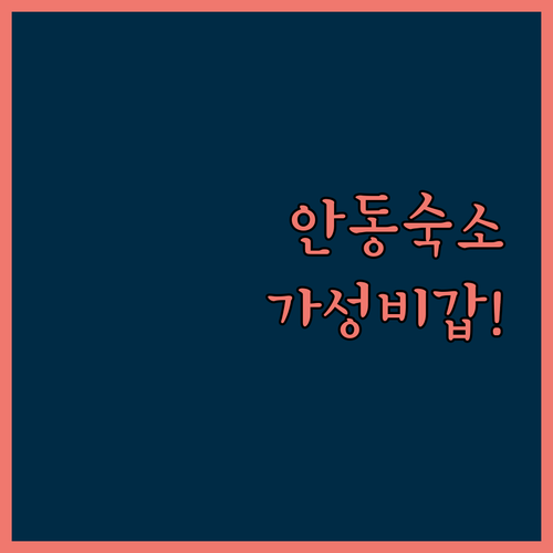 안동 갈비골목 찜닭골목 근처 가성비 ..