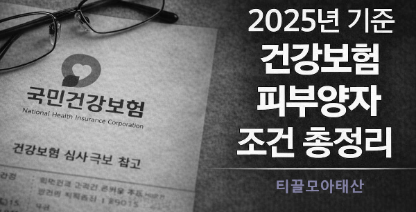 2025년 기준 건강보험 피부양자 조건 총정리
