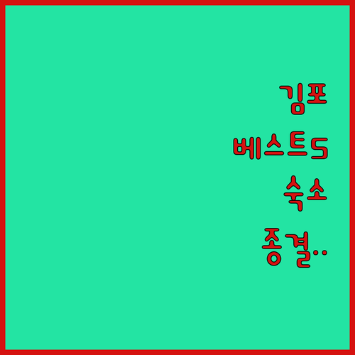 김포 숙소 베스트 5 위치부터 객실 ..