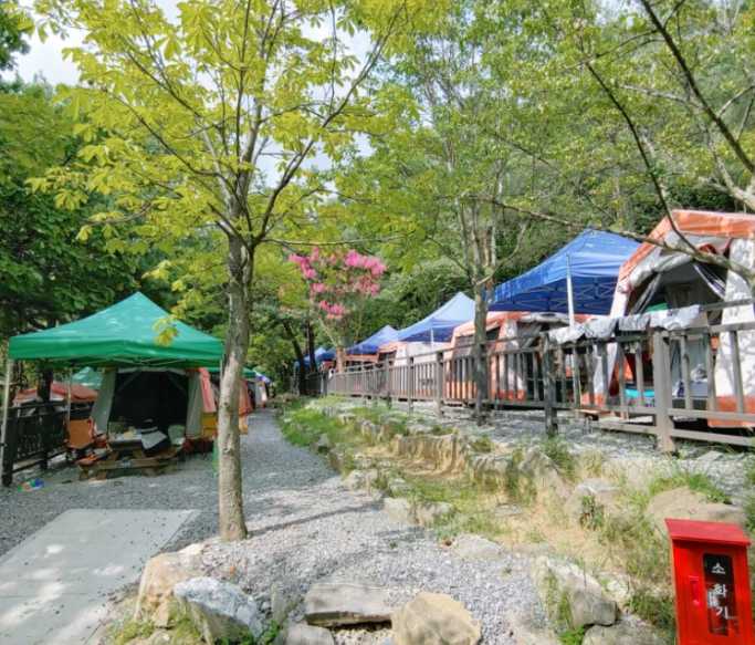 서울대공원 캠핑장 예약