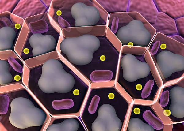 글루타치온, 당신의 건강 여정에 함께할 가치가 있을까요?