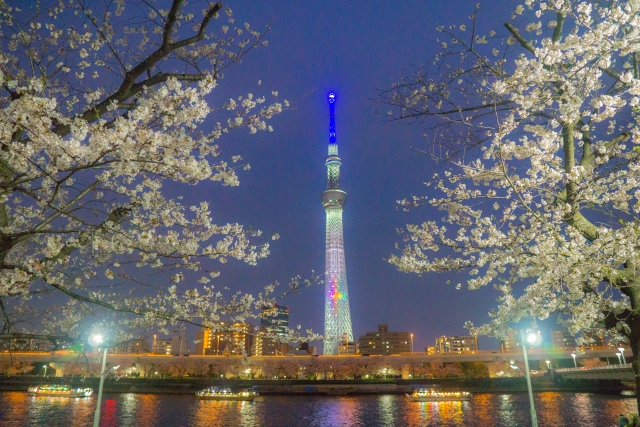 도쿄 야경