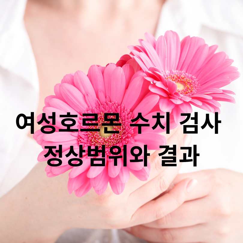 여성호르몬 수치 검사 정상범위와 결과 해석