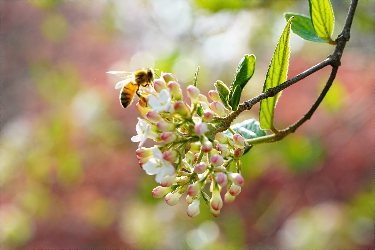우리은행 정기예금 금리