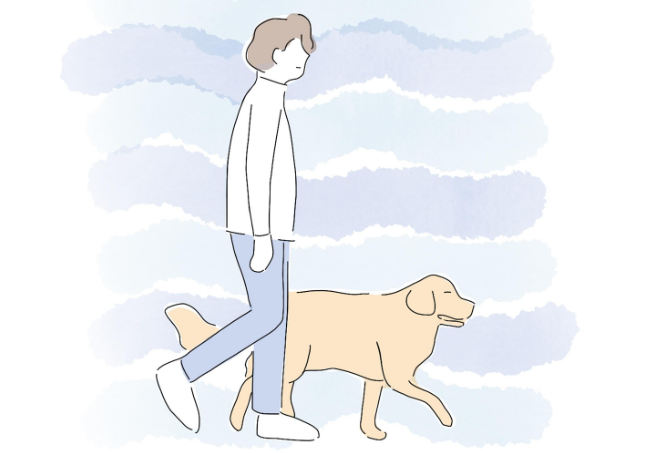 반려동물 진료비 표준수가제 도입!