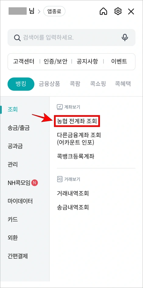 전체 메뉴에서 조회 메뉴의 '농협 전계좌 조회'를 선택